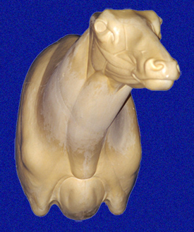 0k3h93e8 ELK-ELK-102 - Image 1