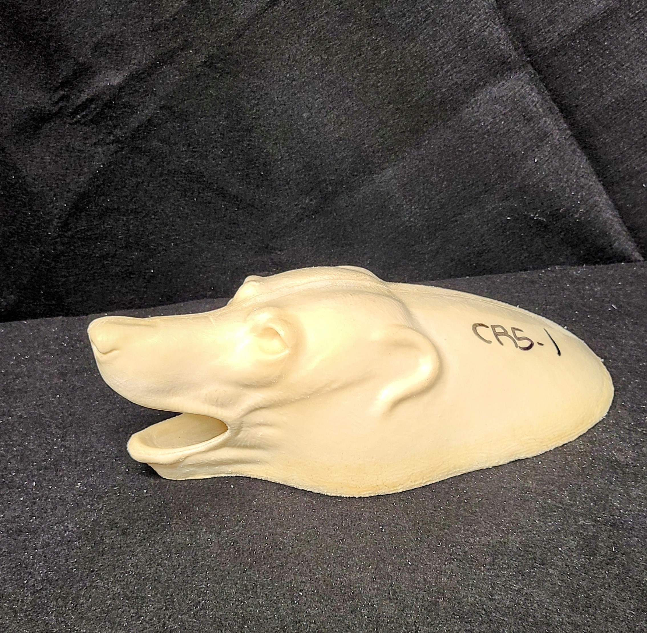 1000006264 (002) COYOTE-CRS-1 - Image 1