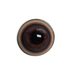 BEAR EYES- 14mm/19mm W.B Competition Medium