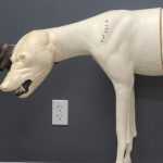 TIMBER WOLF-TW348-B5