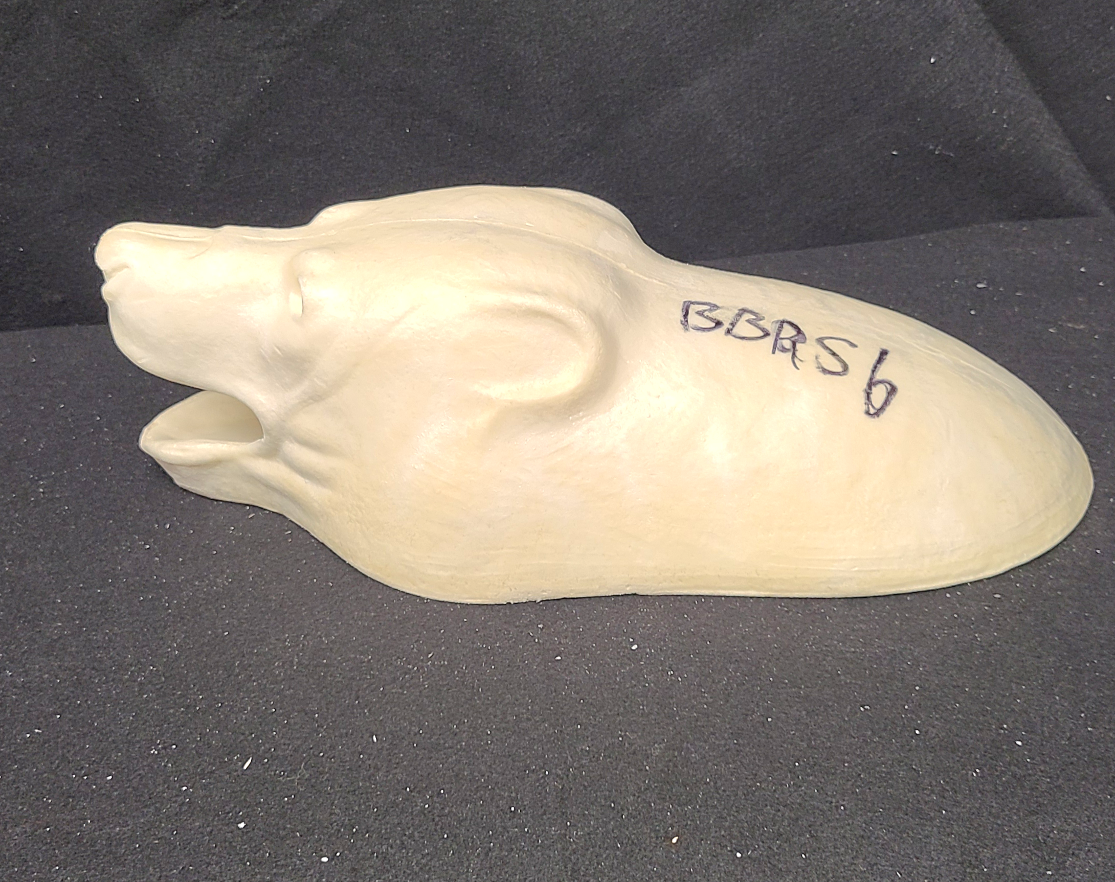 20231020_091258 (002) BEAR-BLACK-BBRS-6 - Image 1