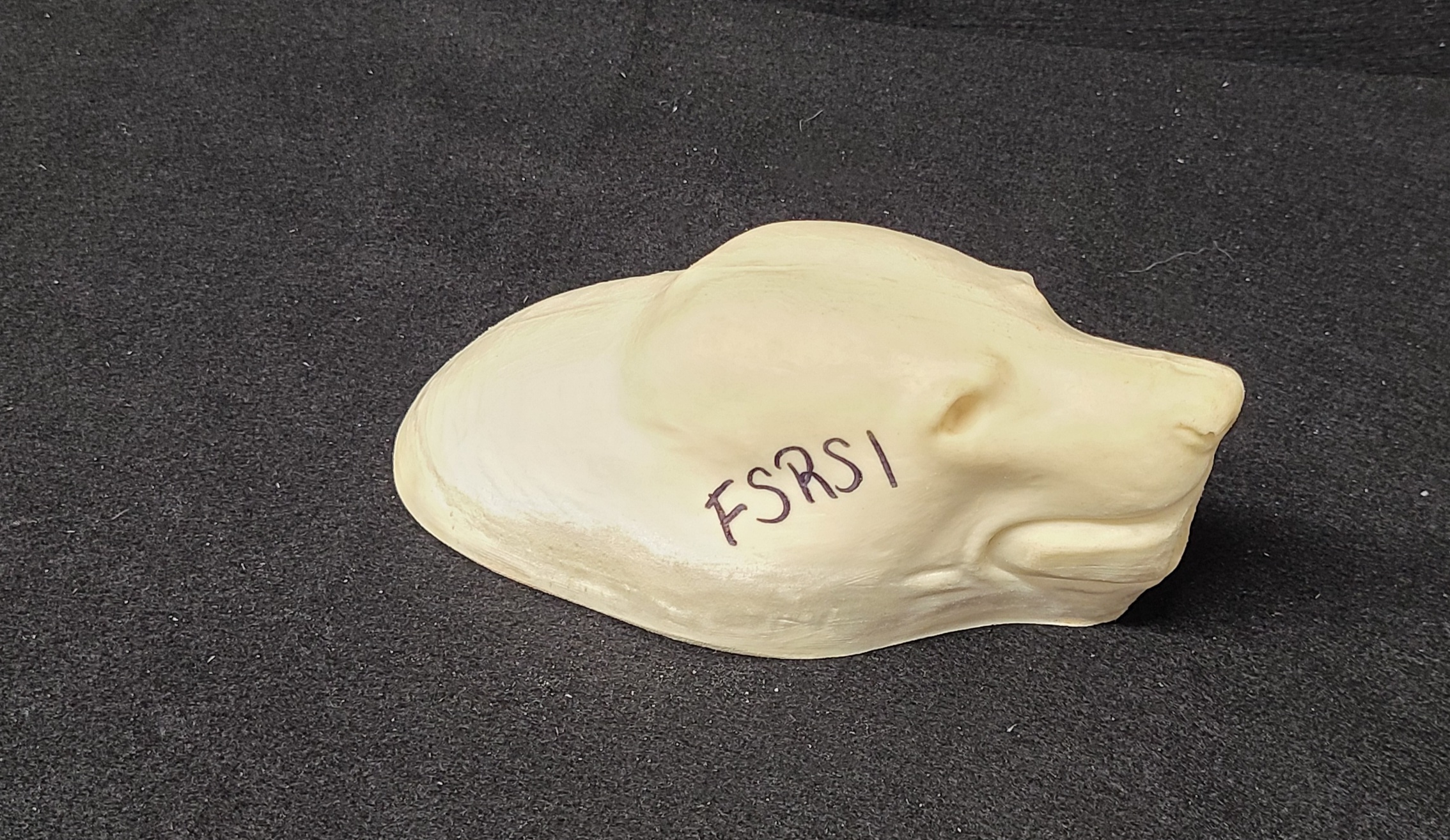 20231020_103535 (002) FISHER-FSRS-1 - Image 1