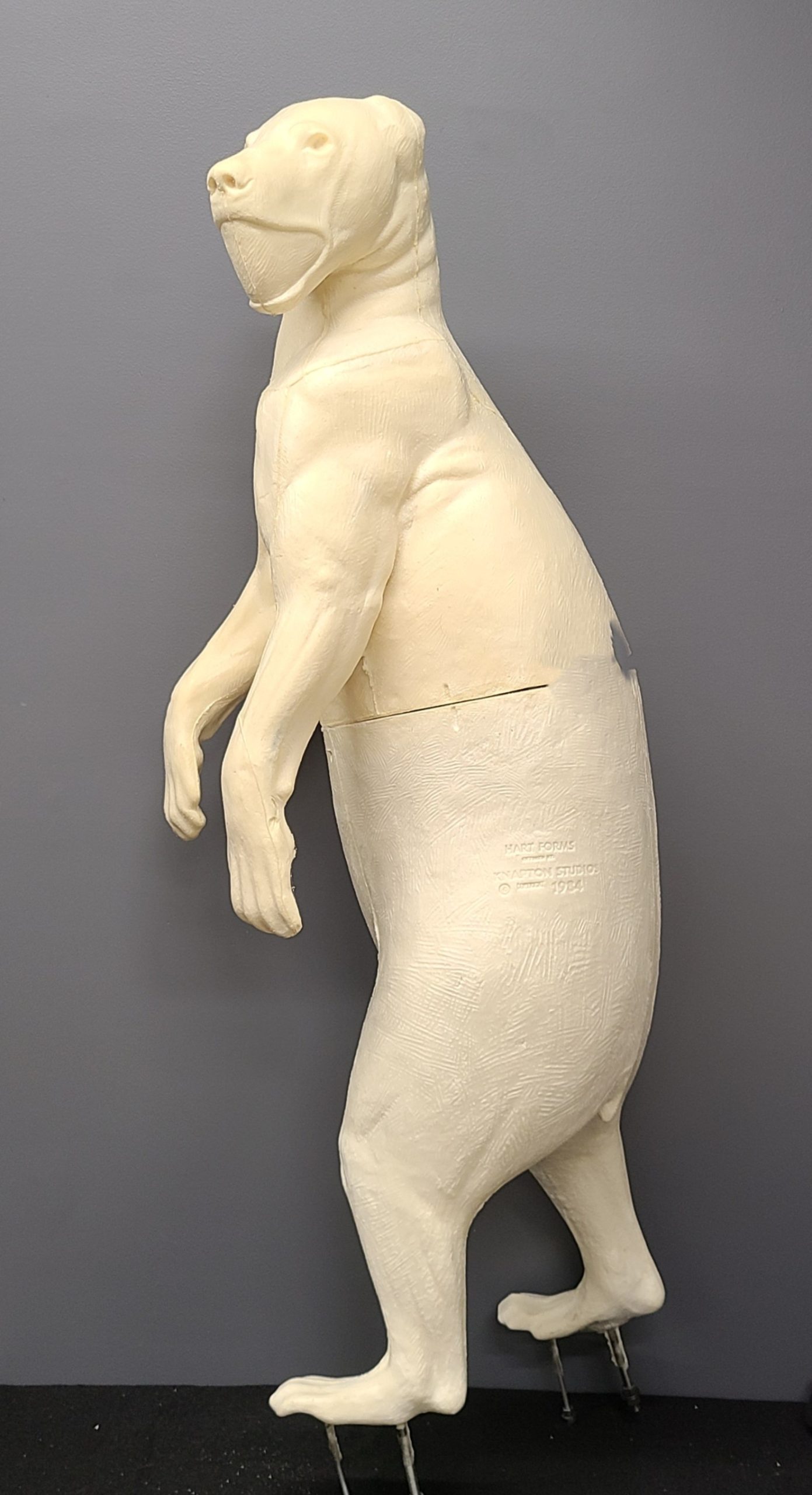 20231020_bb149-o BEAR-BLACK-BB149-O - Image 1