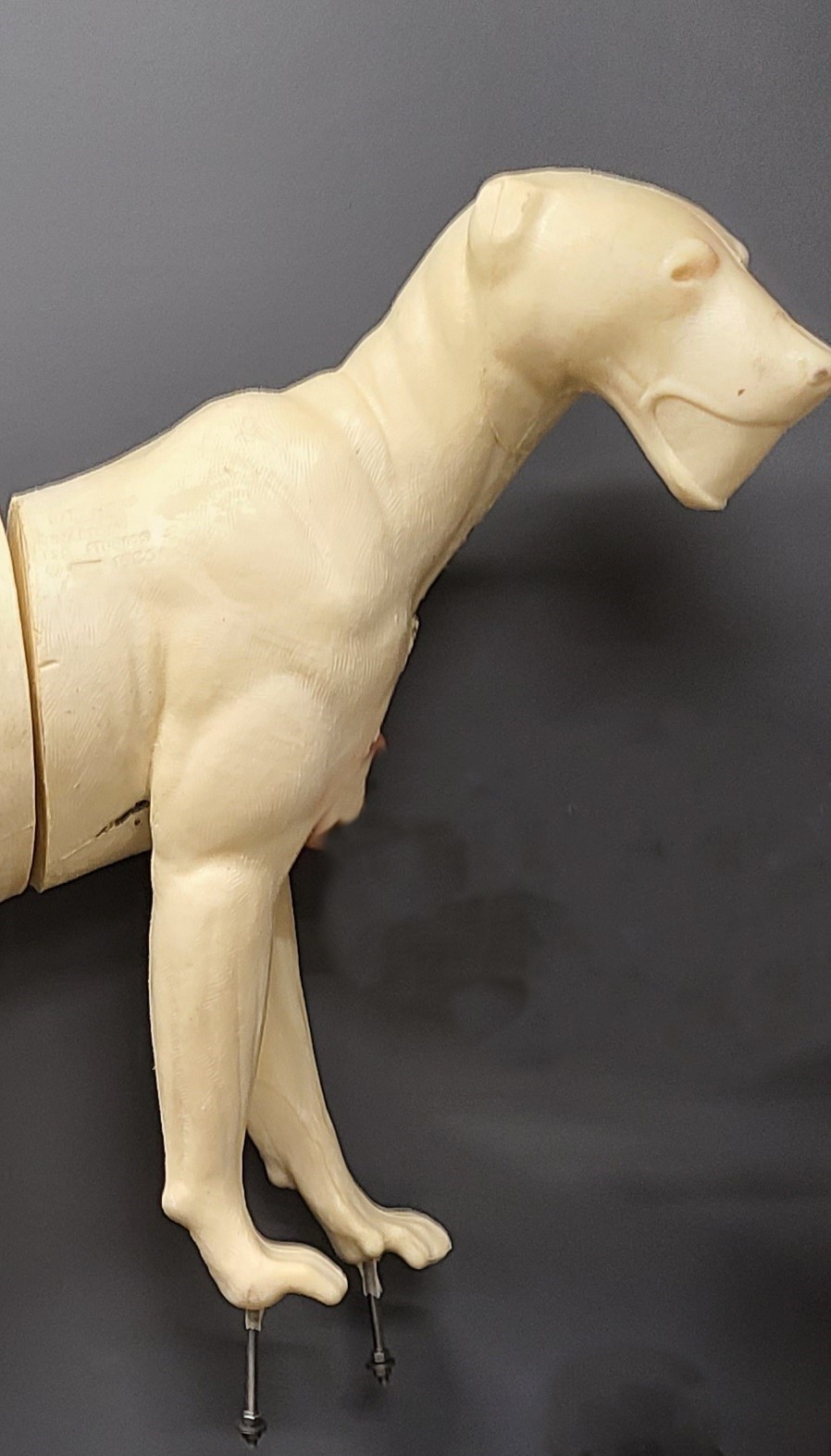 20231020_bb155-o-5 BEAR-BLACK-BB155-5O - Image 1