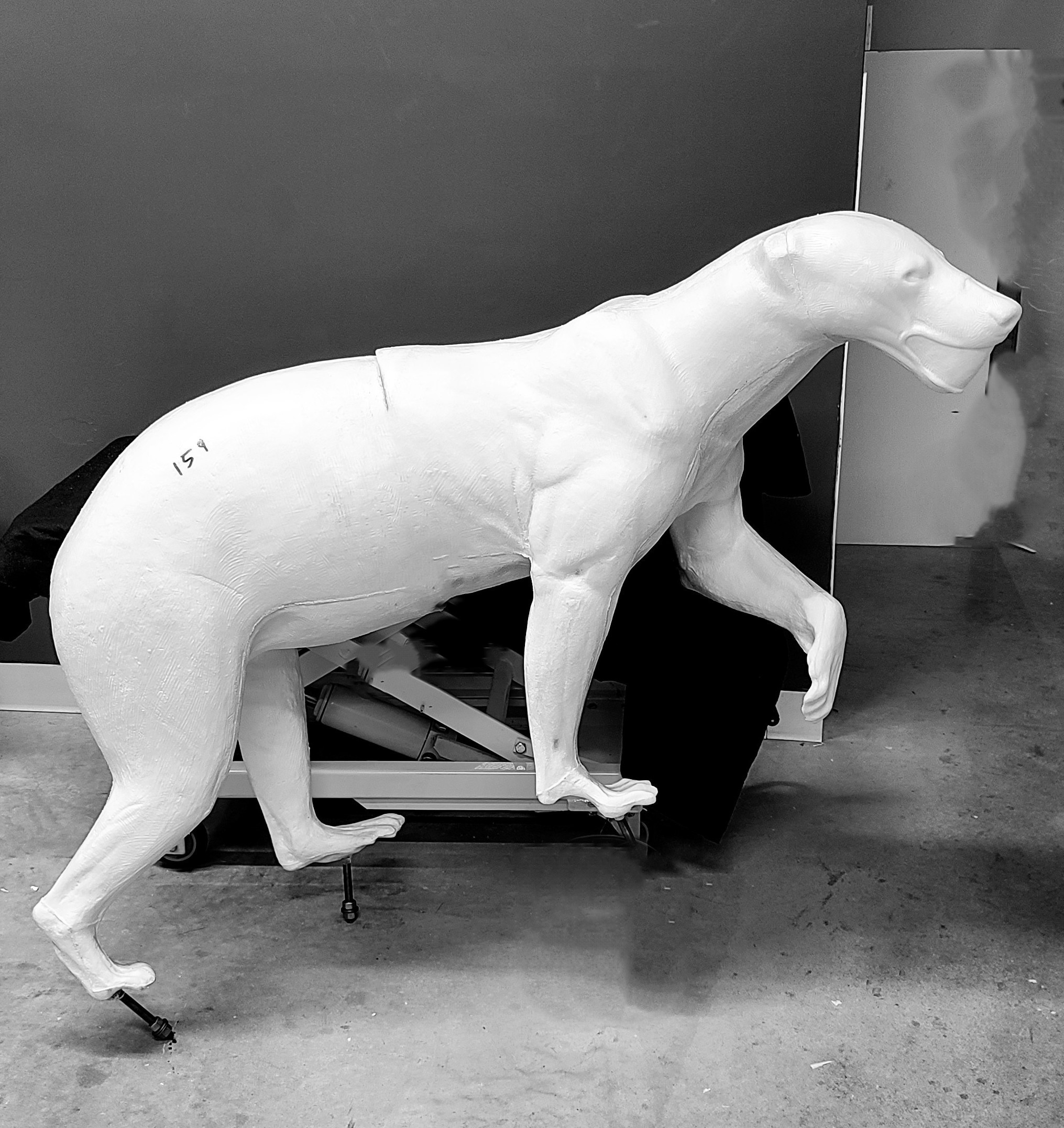 20231020_bb159-o BEAR-BLACK-BB159-O - Image 1