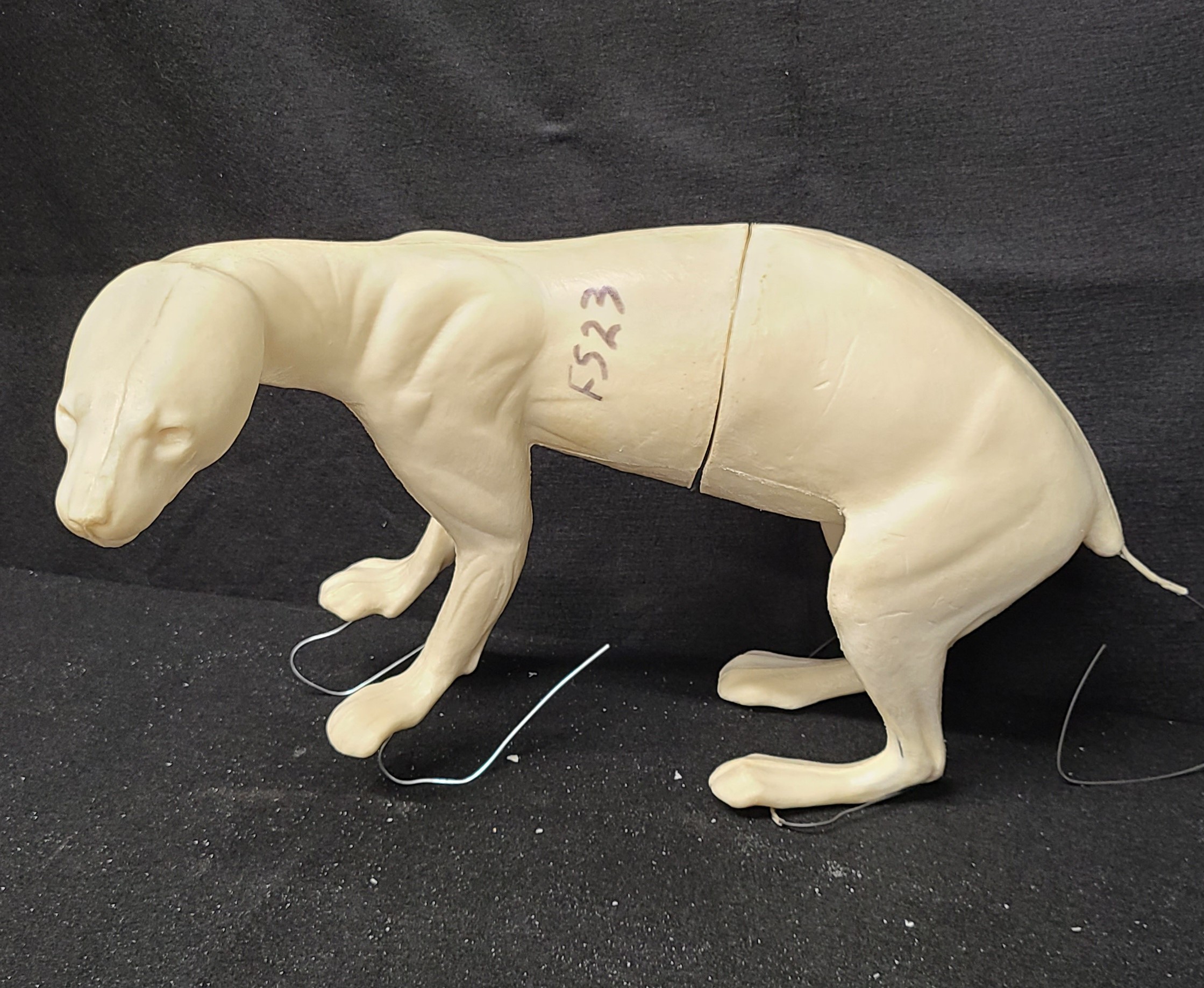 20231020_fs23 FISHER-FS23 - Image 1