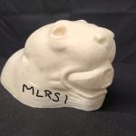 MOUNTAIN LION-MLRS-1