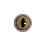 LYNX EYES- 20mm/24mm W.B Competition