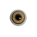 COYOTE EYES- 18mm/22mm W.B Competition ASPW