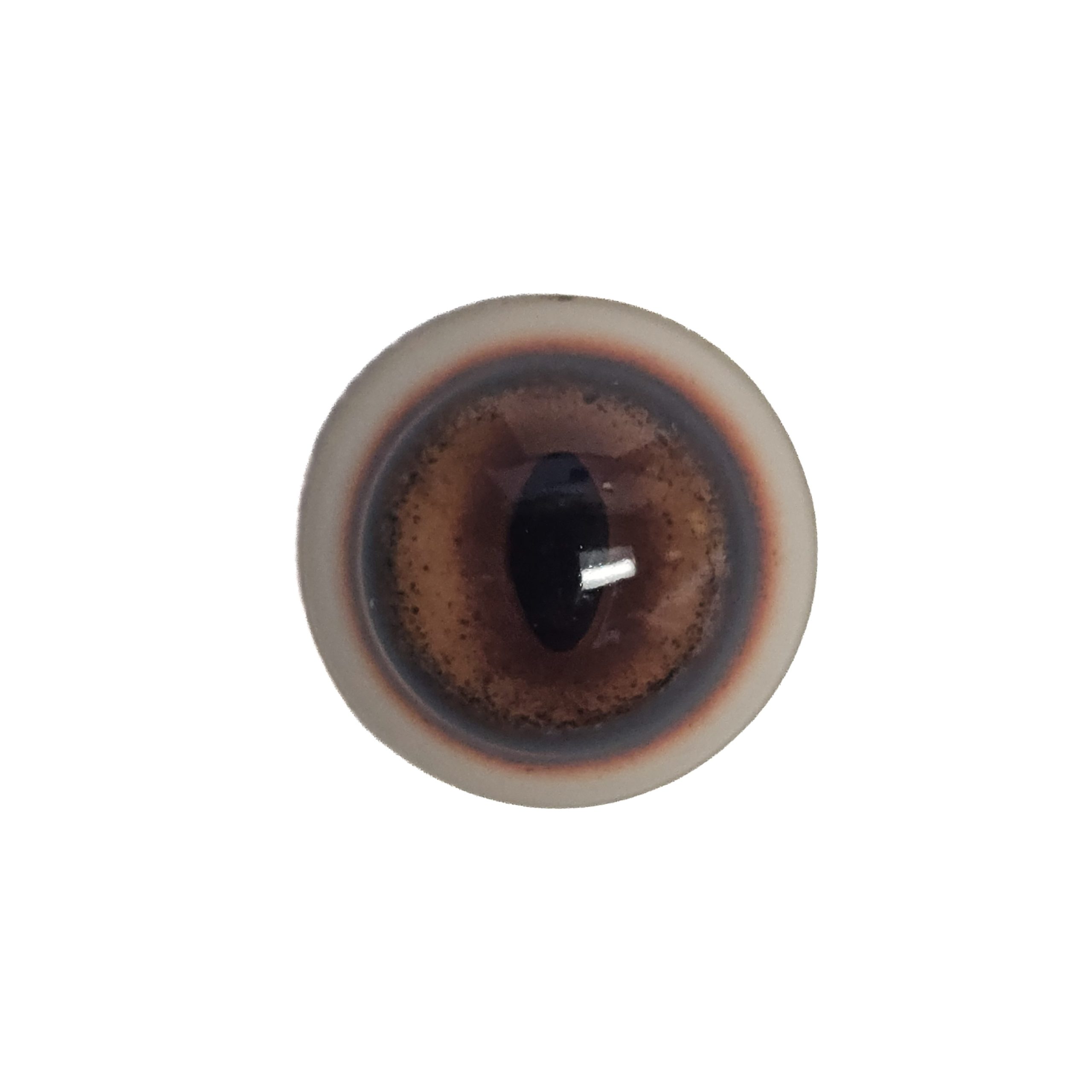 20260714_114232 eye-333-fox