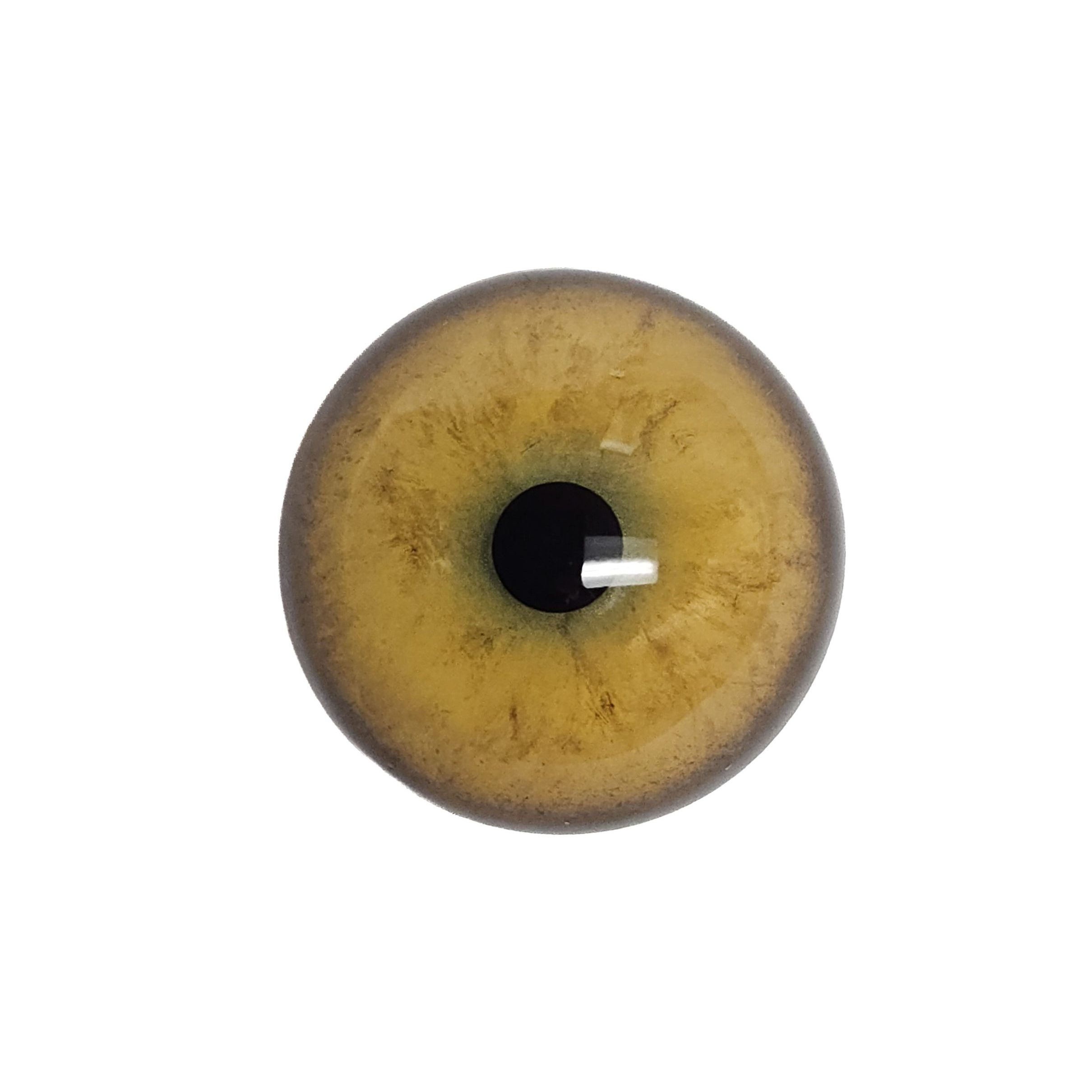20260716_135735 LEOPARD EYES-42 - Image 1