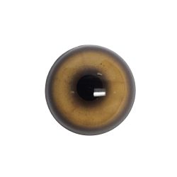 eye-309