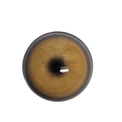 eye-308