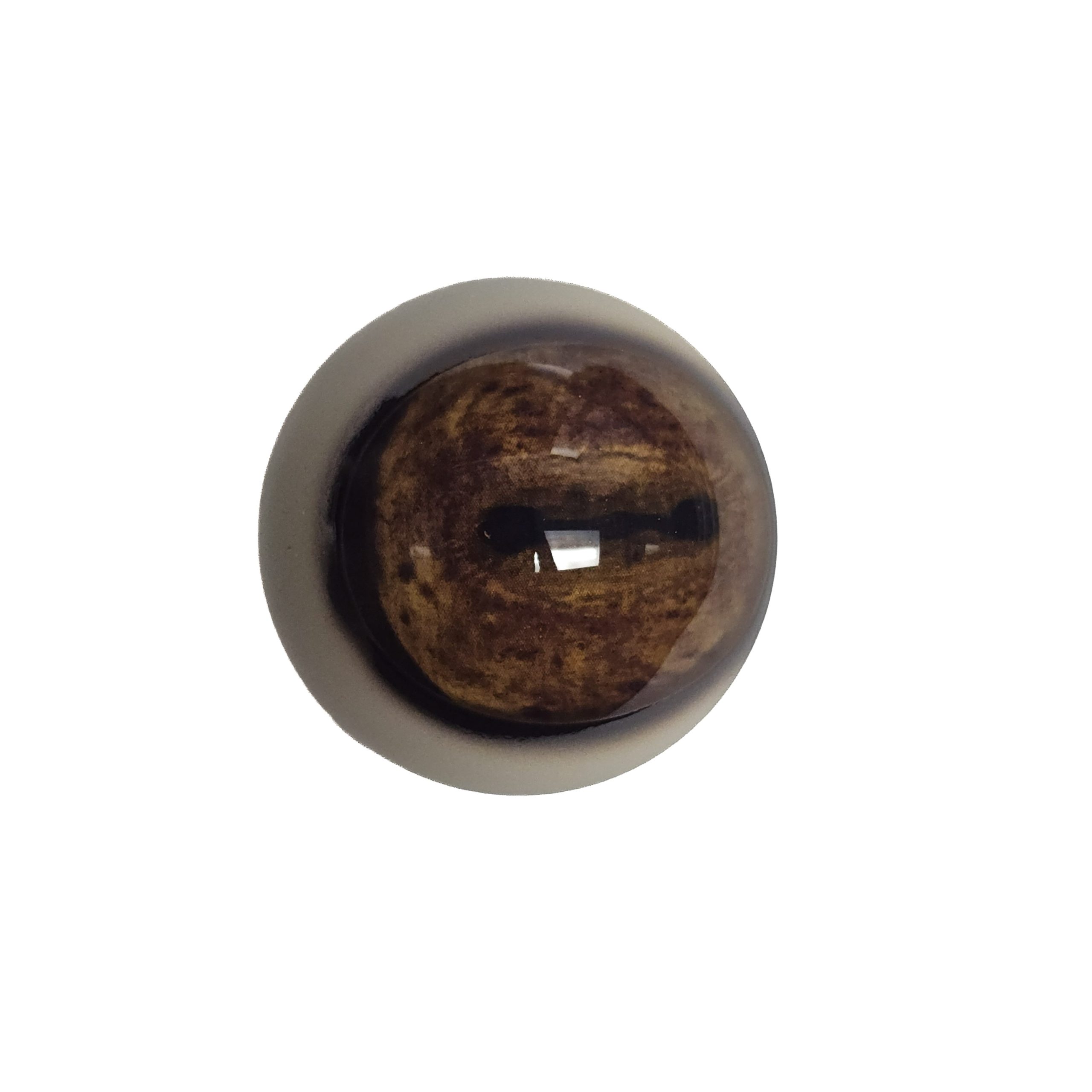 20260717_112636 EYE-311