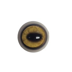 EYE-26