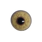 eye-264-265-256