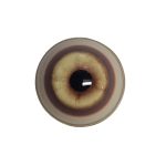 EYE-304