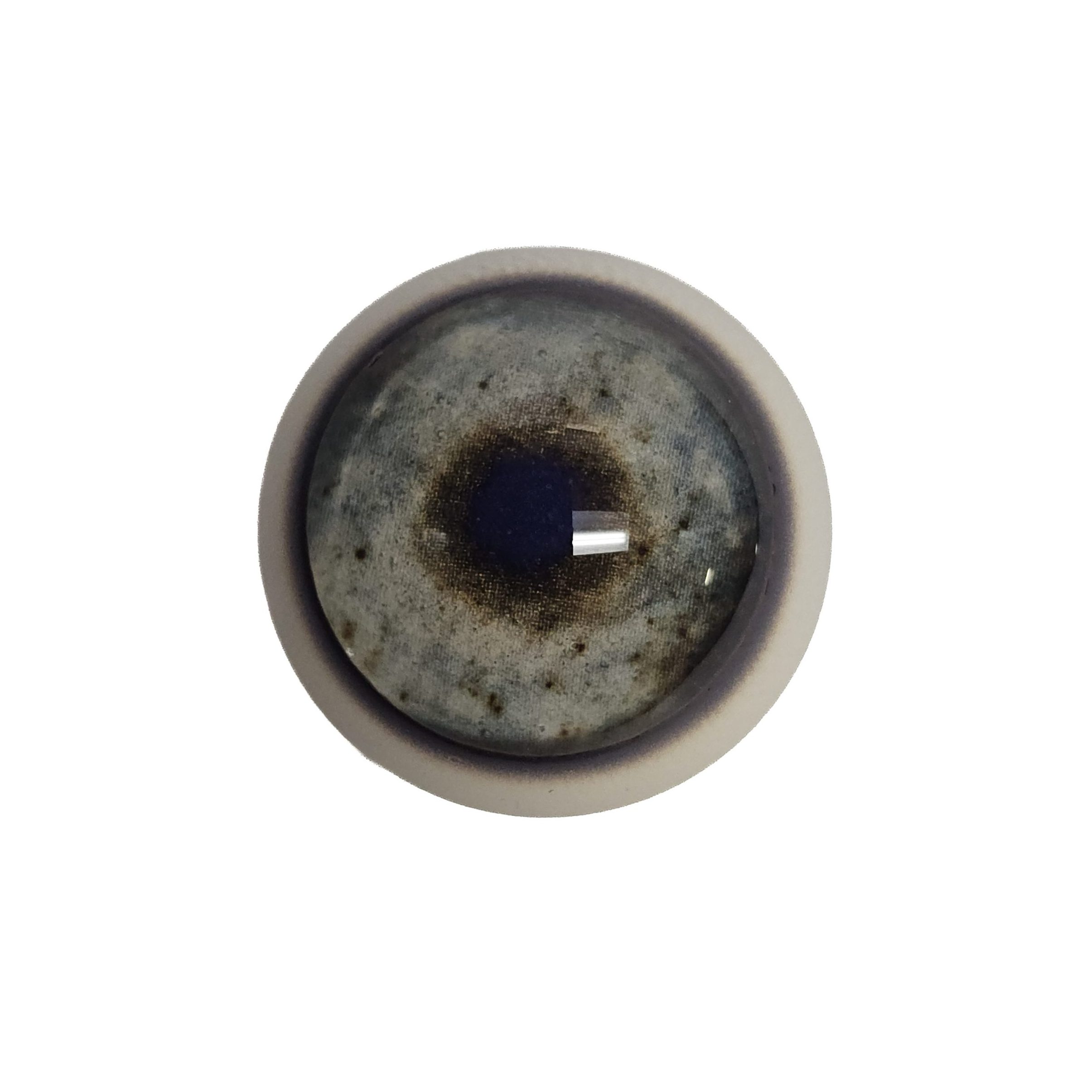 20260717_135317 EYE-318