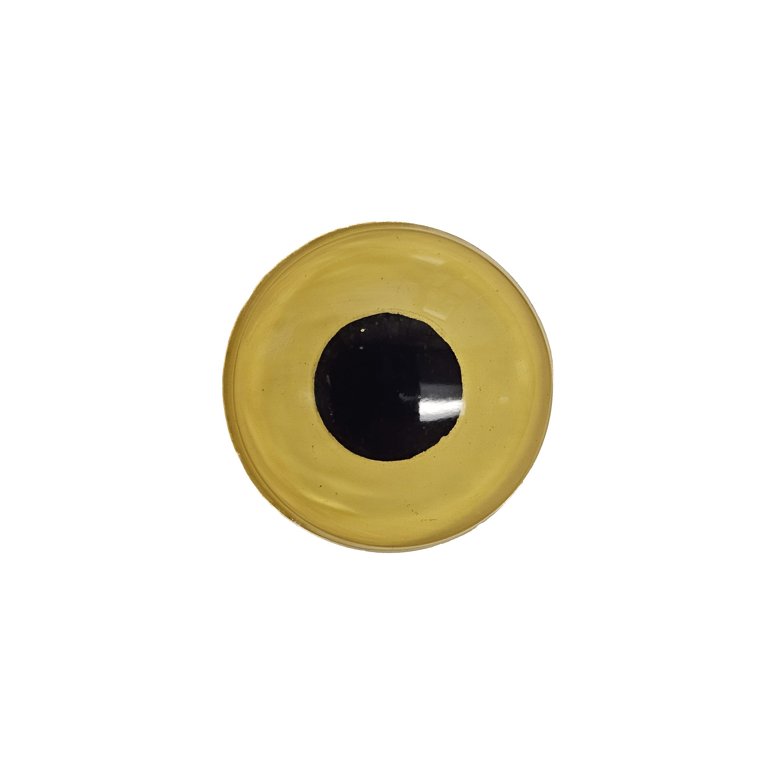 20260717_151142 BIRD EYES- 14mm Yellow - Image 1