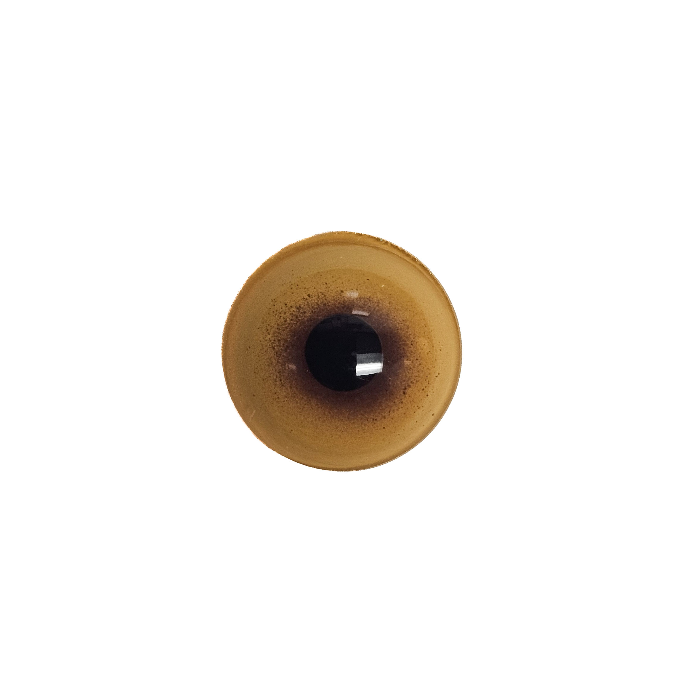 20260721_113256 pheasant eye