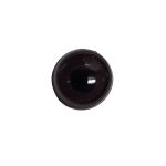 dark brown bird eye