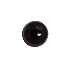 dark brown bird eye
