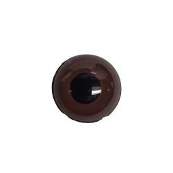 med brown bird eye