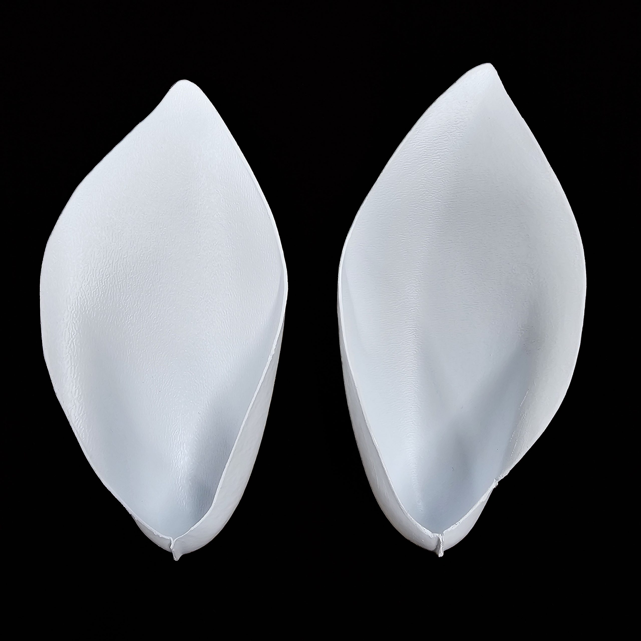 20260724_120141 WILD BOAR EAR LINERS - Image 1