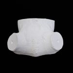 Shed Antler Scull Cap