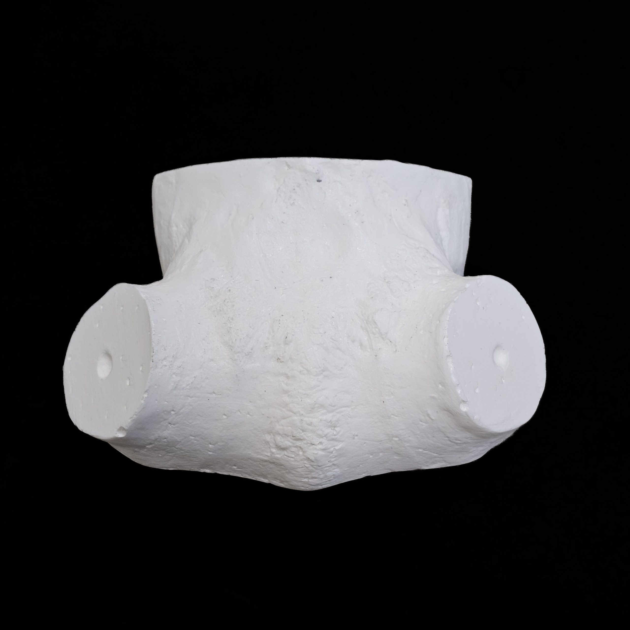 20260727_115945 Shed Antler Scull Cap - Image 1