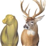 WHITETAIL DEER-5-7325-R