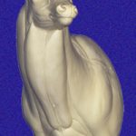 WHITETAIL DEER-7-7020-L