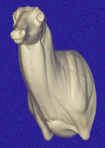 77119L WHITETAIL DEER-7-7119-L - Image 1