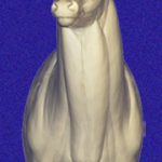 WHITETAIL DEER-7-7119-R