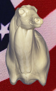 77122L WHITETAIL DEER SHOULDER 7-7122L - Image 1