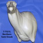 WHITETAIL DEER-7-7321-L