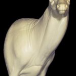 WHITETAIL DEER-7-7323-R