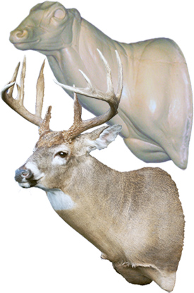 77325L20COMBO WHITETAIL DEER-7-7325-L - Image 1