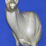 WHITETAIL DEER-93-7019-L