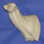 WHITETAIL DEER-93-7221-L