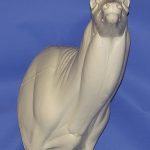 WHITETAIL DEER-93-7221-R