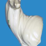 WHITETAIL DEER-94-7223-L