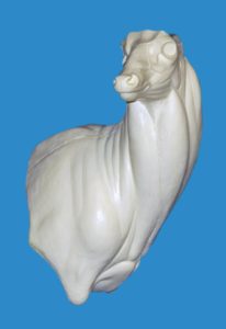 WHITETAIL DEER SHOULDER 94-7223R