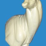 WHITETAIL DEER-94-7224-R