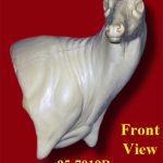 WHITETAIL DEER-95-7019-R