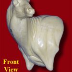 WHITETAIL DEER-95-7323-L