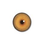 AFRICAN LION EYES- 30mm Unbanded AFES- Small Pupil