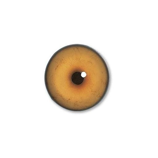 A16ALS-EYE-336 AFRICAN LION EYES- 30mm Unbanded AFES- Small Pupil - Image 1