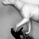 BEAR - BLACK-BB150-5