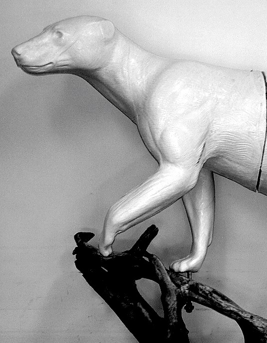 BB150-5 BEAR-BLACK-BB150-5 - Image 1